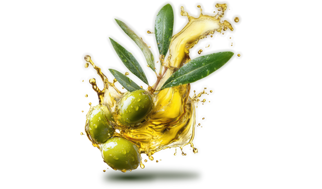zeytinyagi-banner-ust