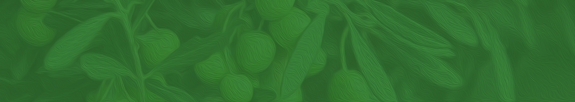 zeytin-kategori-banner