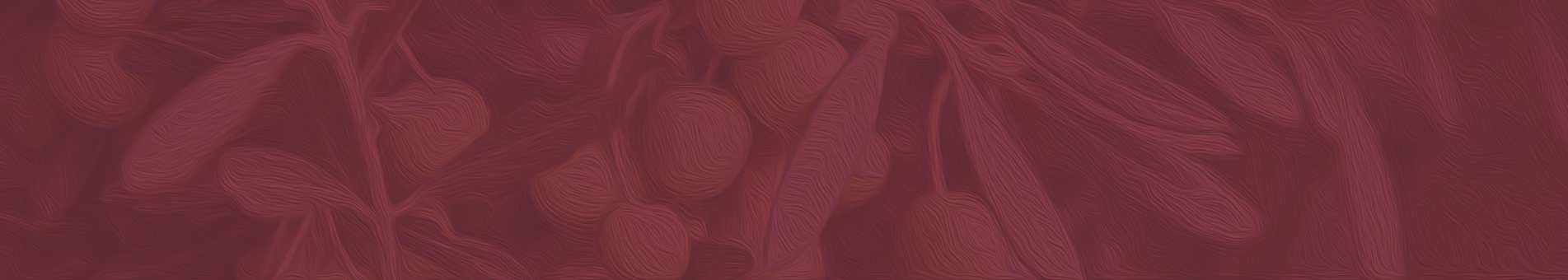 sarkuteri-kategori-banner