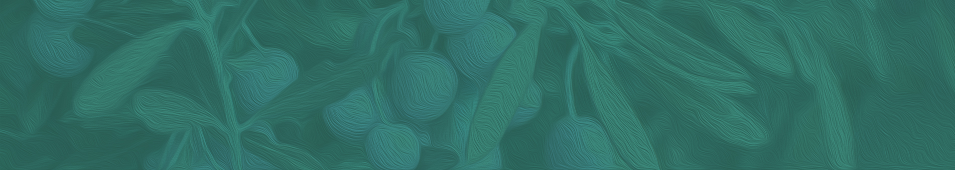 kozmetik-kategori-banner