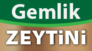 Gemlik Zeytini